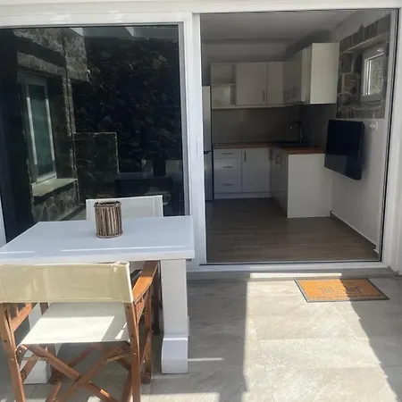 Apartment Milesian *