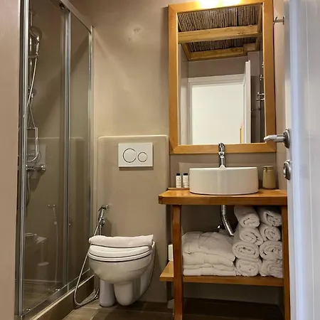 Appartement Milesian *